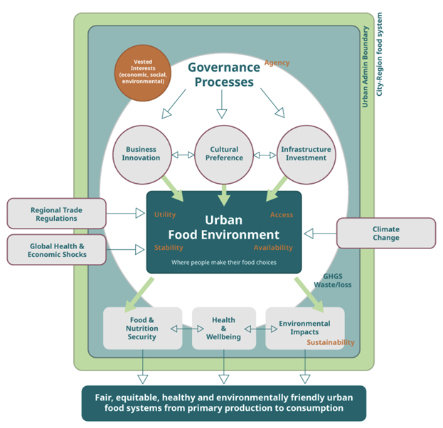 AfriFOODlinks: Transforming Africa’s urban food systems – SA Urban Food ...