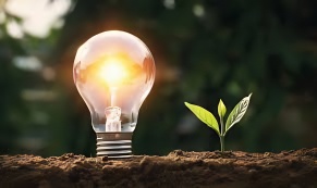 Amplifying Voices and Building Networks: SAUFFT at the IAEOZ Summit&nbsp;2024