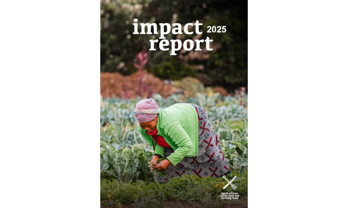 SAUFFT Impact Report –  2024/2025: What we did and why it&nbsp;matters