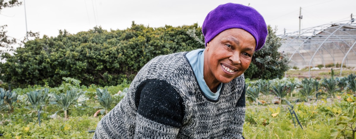 Innovate Today, Nourish Tomorrow: Why Transforming Food Systems Requires More Than Good&nbsp;Policy